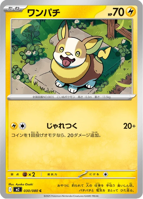 ワンパチ