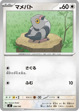 マメパト