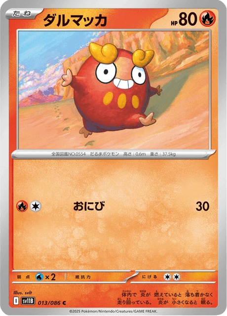 ダルマッカ