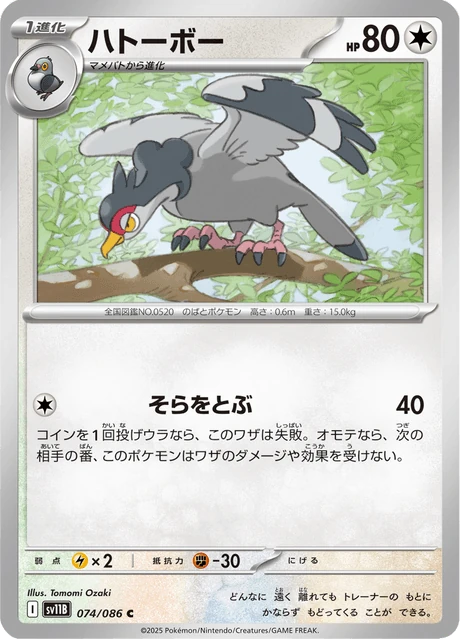 ハトーボー