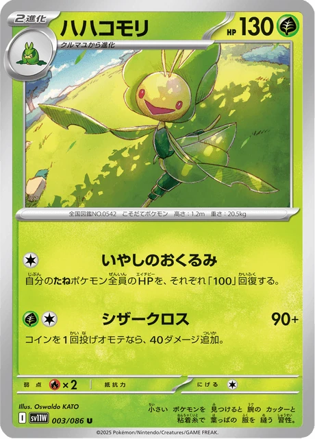 ハハコモリ