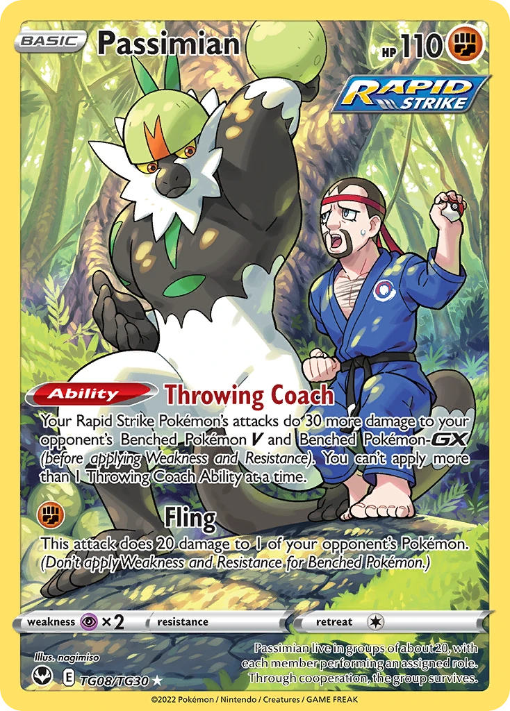 Passimian TG08/30