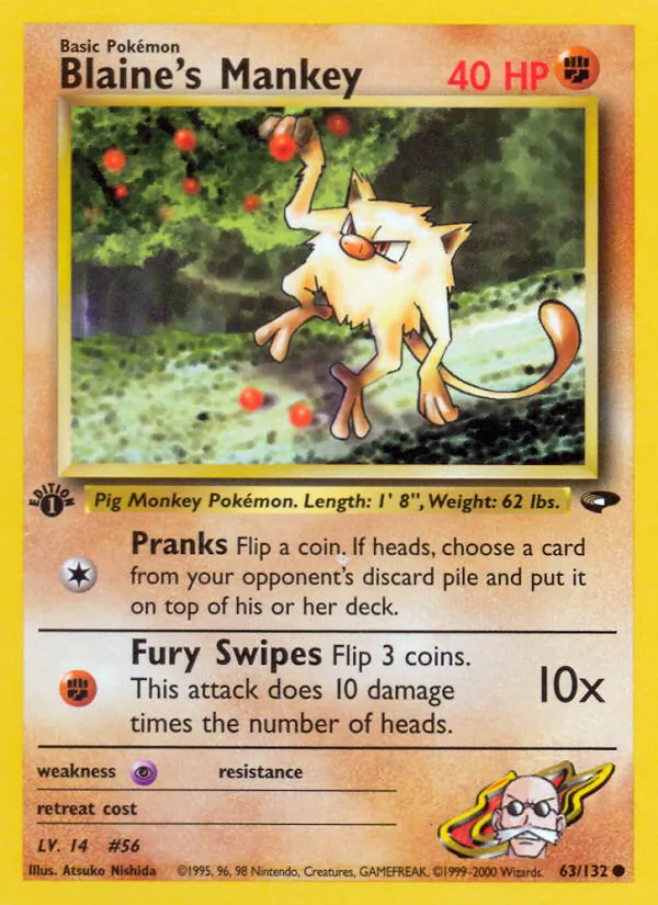 Blaine's Mankey 63/132