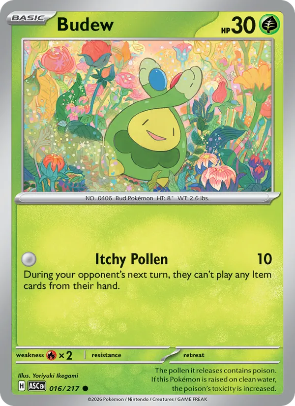 Budew 016/217