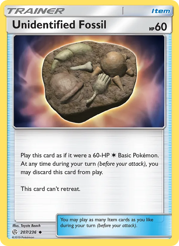Unidentified Fossil 207/236