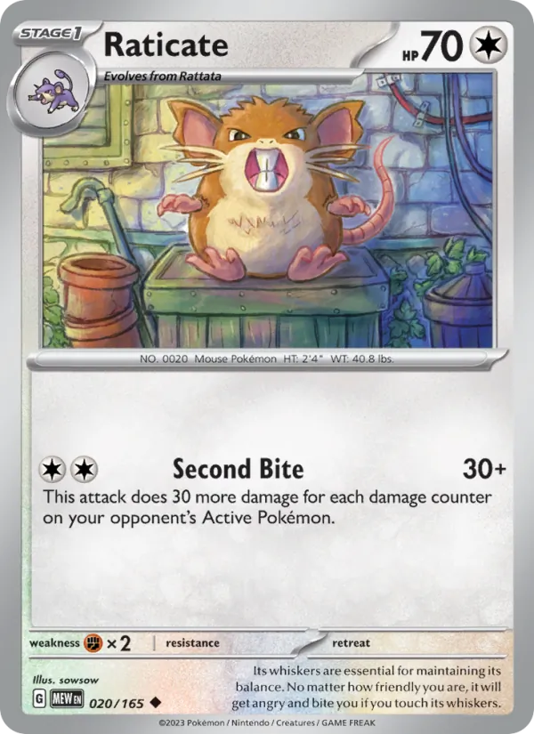 Raticate 020/165