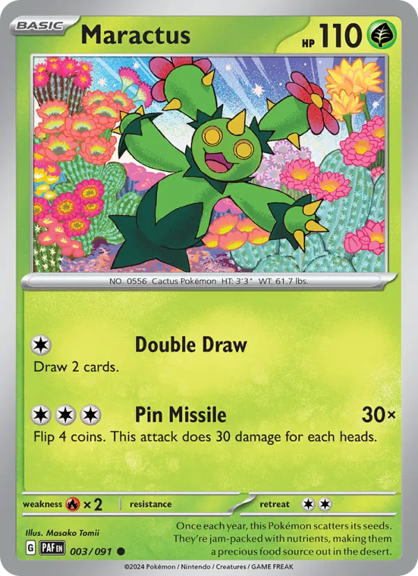 Maractus 003/91