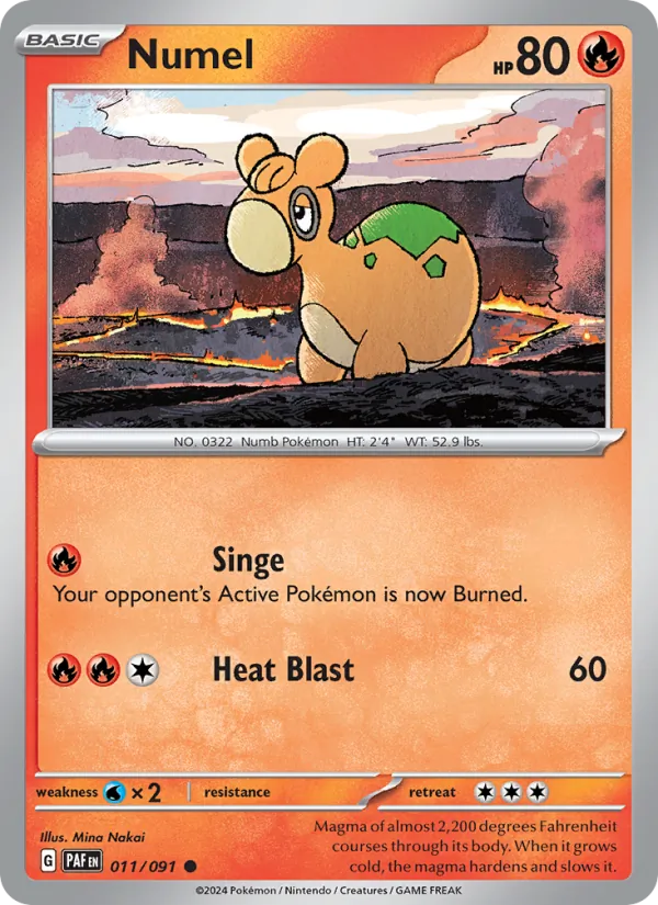 Numel 011/91