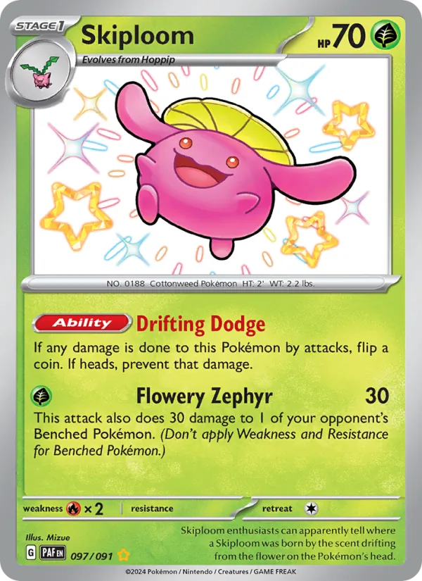 Skiploom 097/91