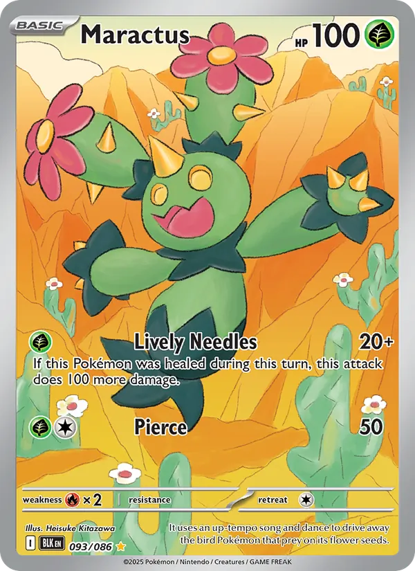 Maractus 093/86