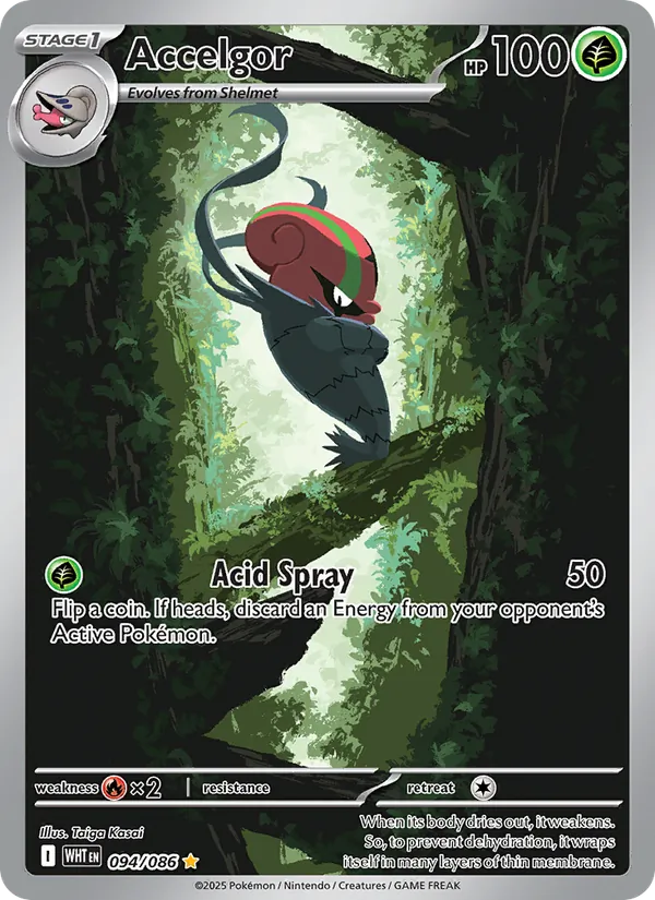 Accelgor 094/86