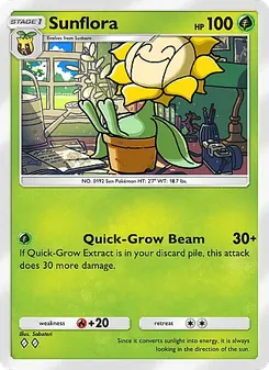 Sunflora