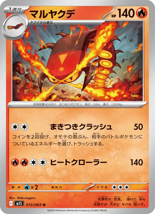 マルヤクデ 013/63
