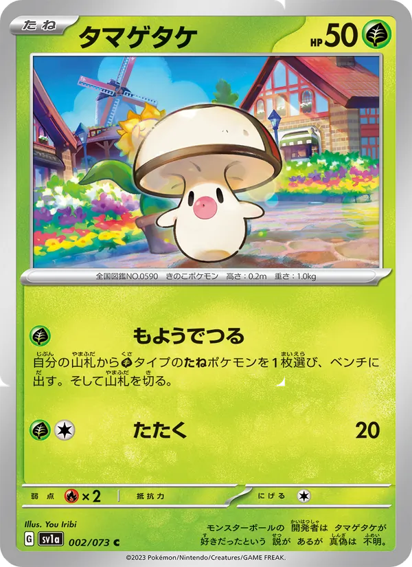 タマゲタケ 002/73