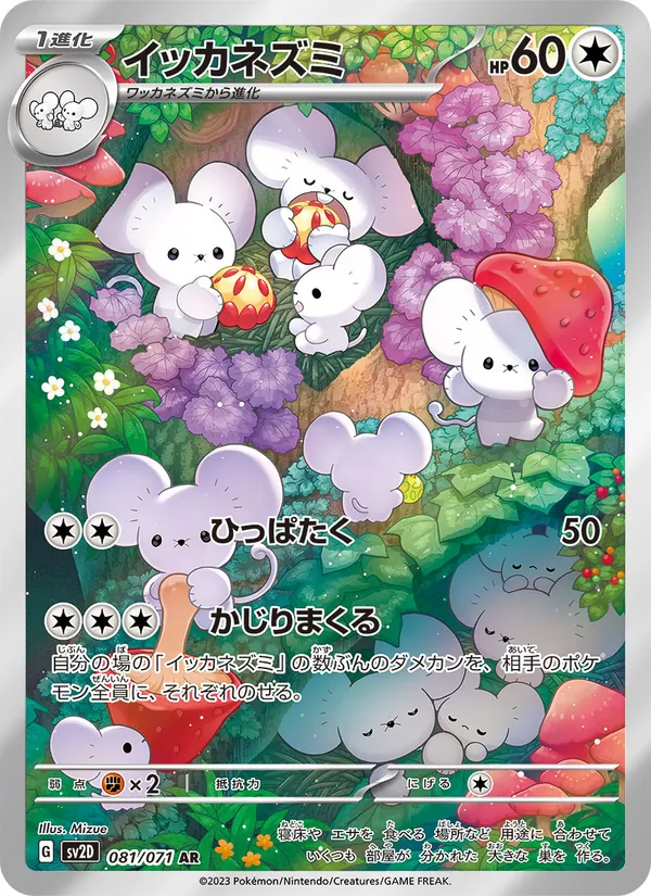 イッカネズミ 081/71